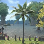 海岛棕榈树